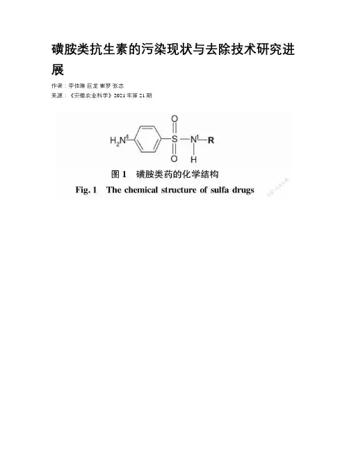 磺胺类抗生素的污染现状与去除技术研究进展