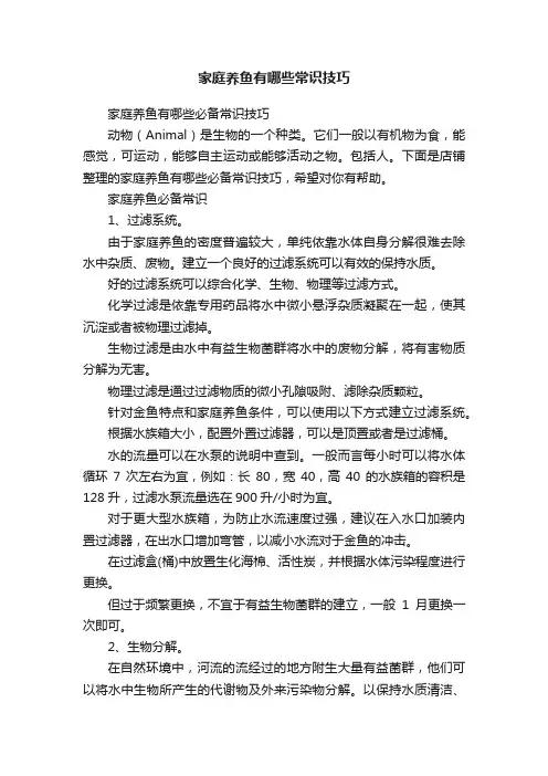 家庭养鱼有哪些常识技巧