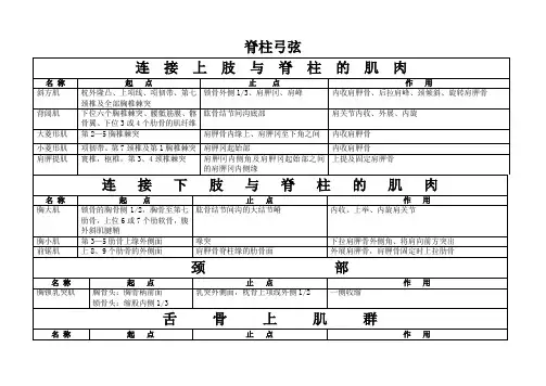 人体弓弦力学系统(脊柱、上肢、下肢、关节囊)