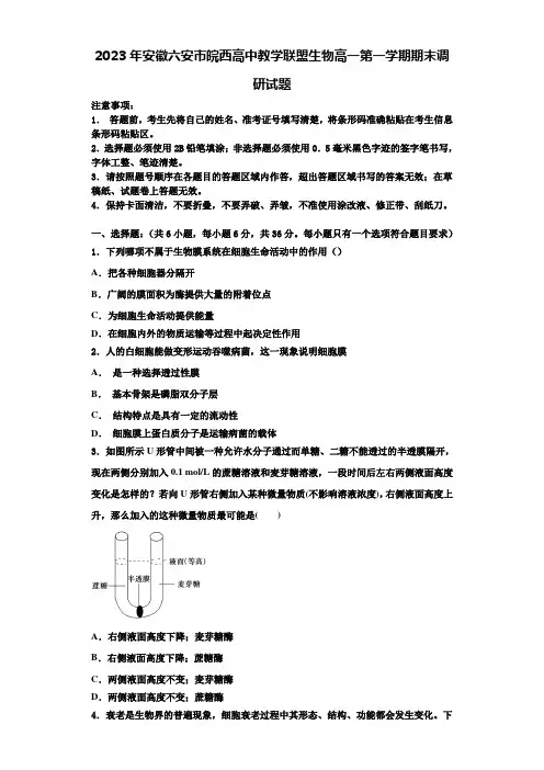 2023年安徽六安市皖西高中教学联盟生物高一第一学期期末调研试题含解析