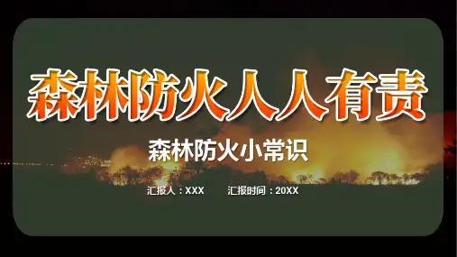简约森林防火人人有责PPT教学讲授课件