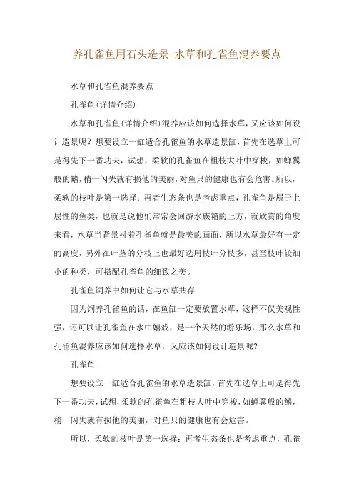 养孔雀鱼用石头造景-水草和孔雀鱼混养要点