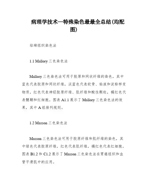 病理学技术—特殊染色最最全总结(均配图)