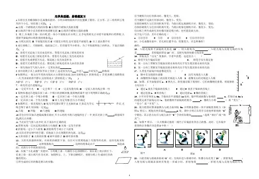 光学易错题