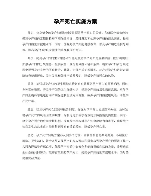 孕产死亡实施方案