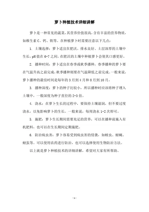 萝卜种植技术详细讲解