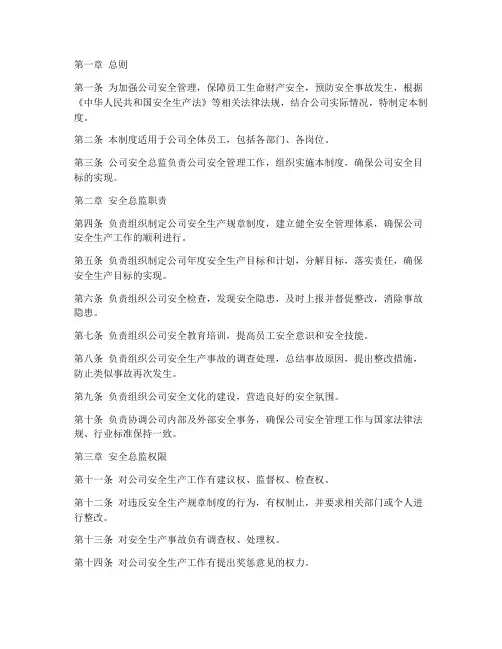 公司安全总监管理制度