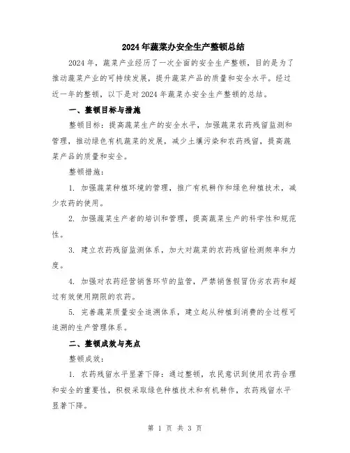 2024年蔬菜办安全生产整顿总结