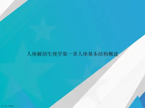 人体解剖生理学第一章人体基本结构概述讲课文档