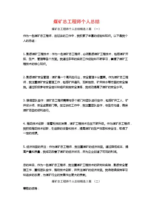 煤矿总工程师个人总结2篇