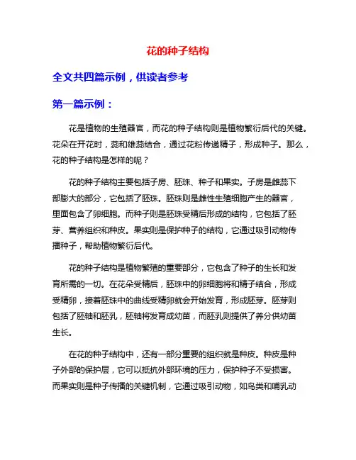 花的种子结构
