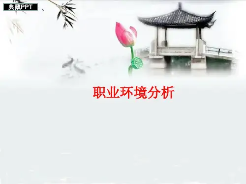 职业环境分析培训课件