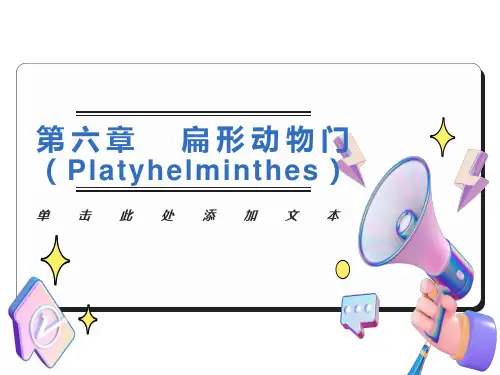 动物生物学扁形动物门