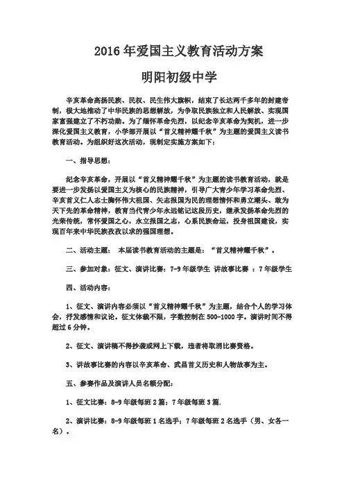 爱国主义2016