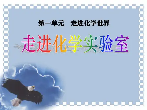 人教版九年级化学上册第一单元课题3《走进化学实验室》课件(共17张 ppt)