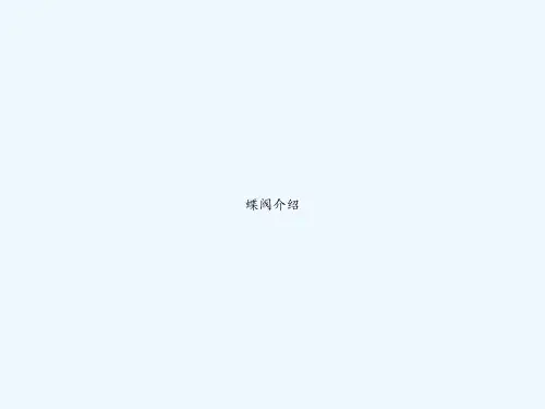 蝶阀介绍 PPT