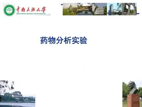 异烟肼片的含量测定