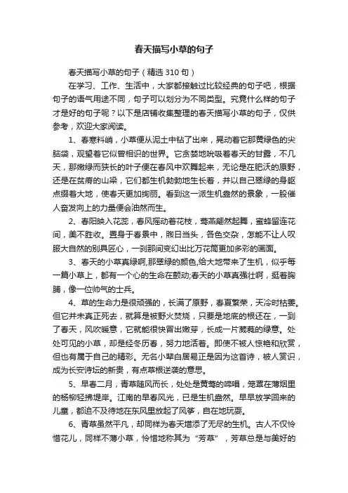 春天描写小草的句子