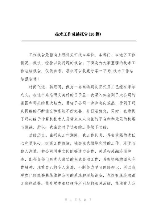 技术工作总结报告(10篇)