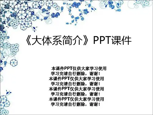 《大体系简介》PPT课件