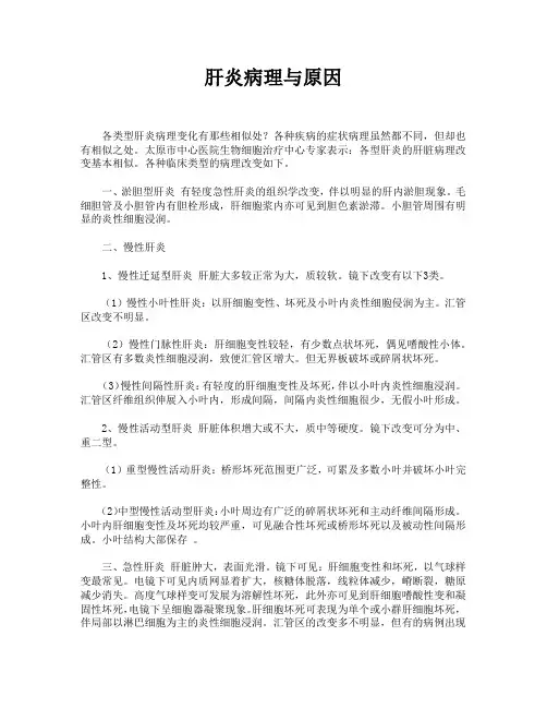 肝炎病理与原因