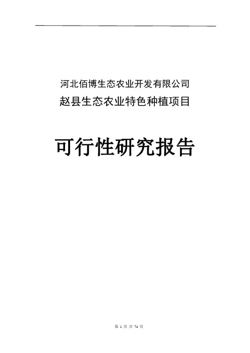 生态农业种植项目可行性研究报告