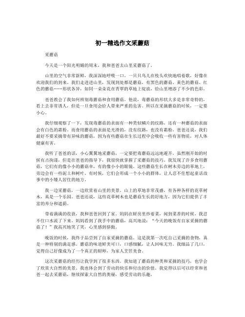 初一精选作文采蘑菇