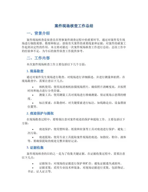 案件现场核查工作总结