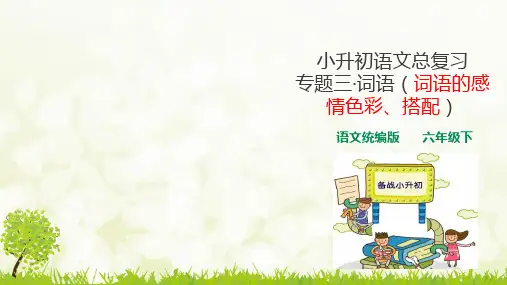 人教统编版小升初语文总复习专题(词语的感情色彩、搭配+词语的逻辑归类)PPT课件