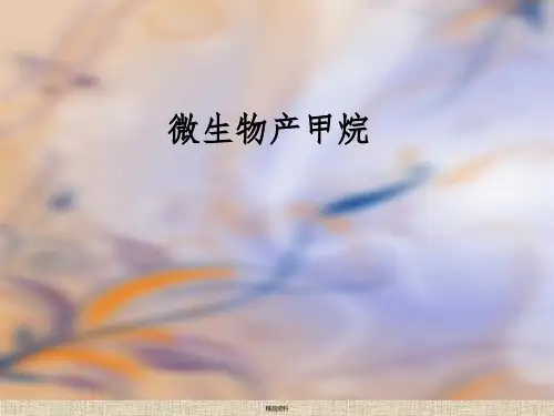 微生物产甲烷讲解