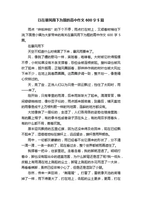 以在暴风雨下为题的高中作文600字5篇