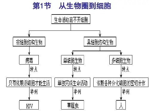 生物生命系统的结构层次