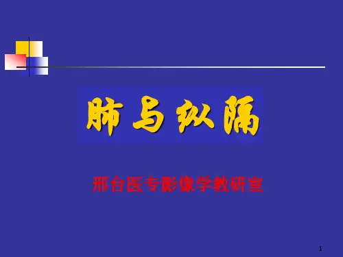 肺与纵隔医学影像课件