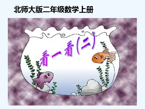 北师大版小学一年级数学下册观察物体看一看一PPT课件