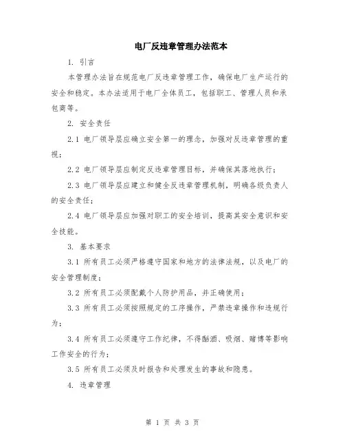 电厂反违章管理办法范本