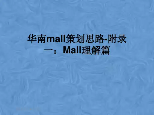 华南mall策划思路-附录一：Mall理解篇