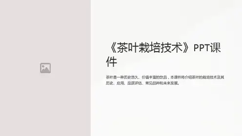 《茶叶栽培技术》课件