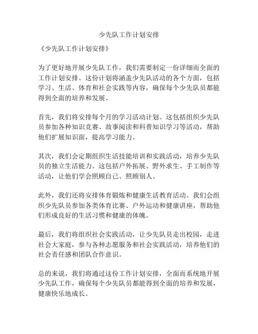 少先队工作计划安排