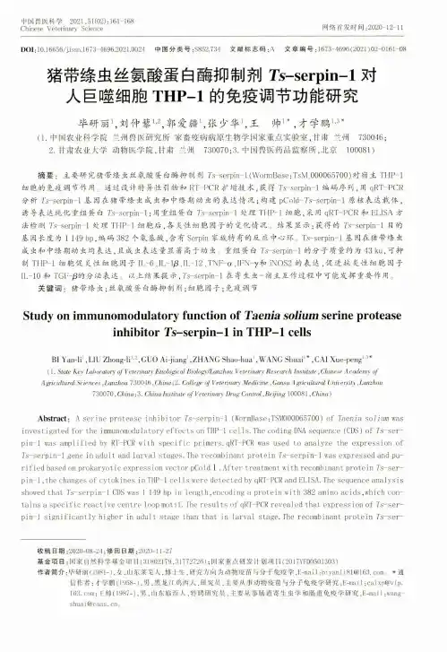 猪带绦虫丝氨酸蛋白酶抑制剂Ts-serpin-1对人巨噬细胞THP-1的免疫调节功能研究