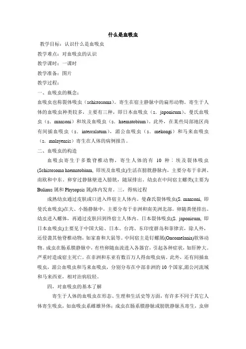 什么是血吸虫