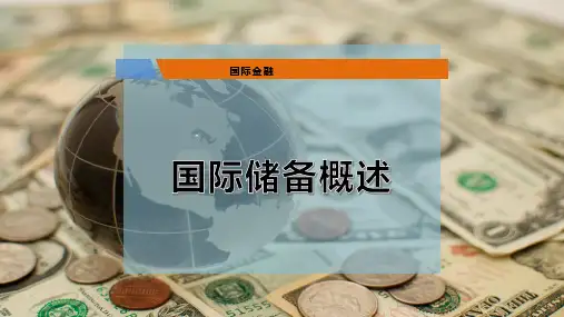 国际储备概述PPT模板