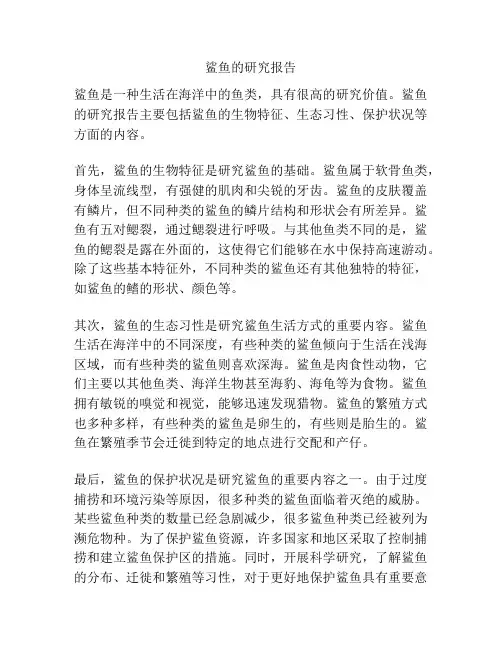 鲨鱼的研究报告