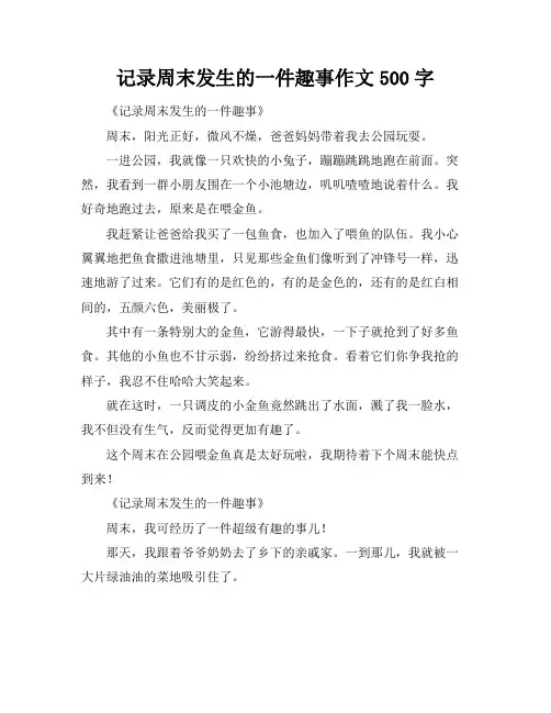 记录周末发生的一件趣事作文500字