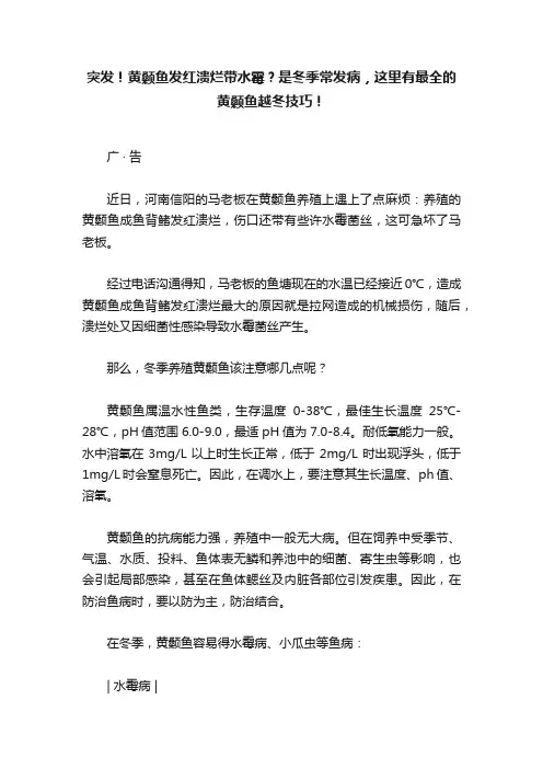 突发！黄颡鱼发红溃烂带水霉？是冬季常发病，这里有最全的黄颡鱼越冬技巧！