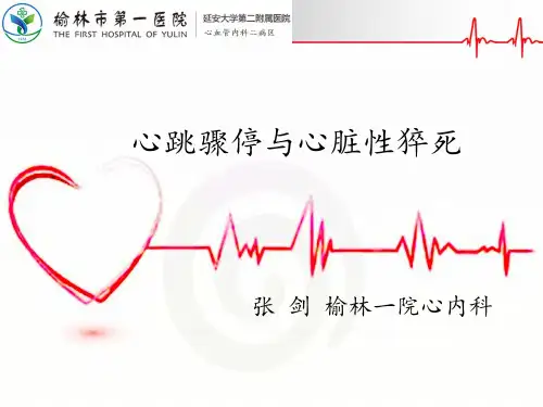 心跳骤停与心脏性猝死
