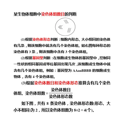 生物体细胞中染色体组数目的判断