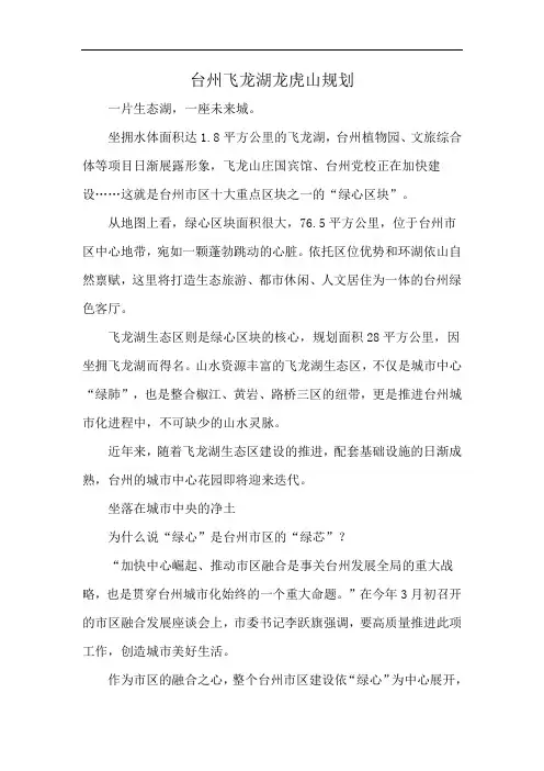 台州飞龙湖龙虎山规划
