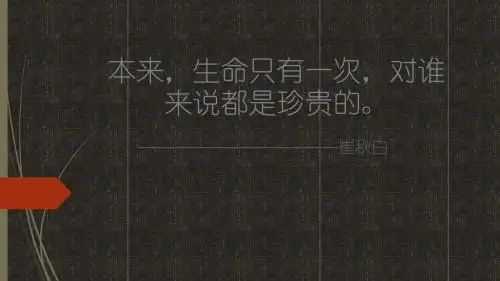 智慧之花