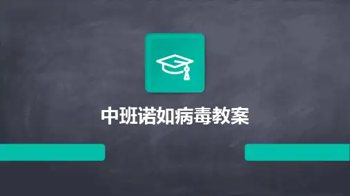 2024中班诺如病毒教案