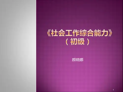 社会工作综合能力(初级)PPT课件